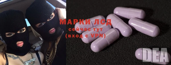 тгк Снежногорск