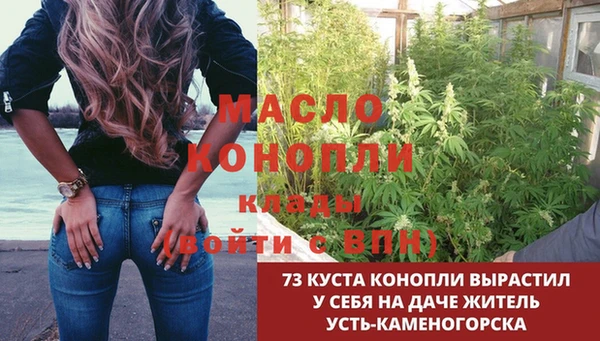 ECSTASY Сосновка