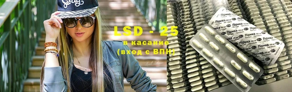 тгк Снежногорск