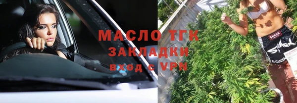 тгк Снежногорск