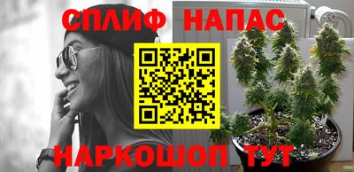 трава Гагарин