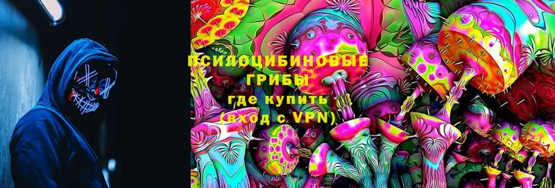 дарнет шоп  Комсомольск-на-Амуре  Псилоцибиновые грибы MAGIC MUSHROOMS 