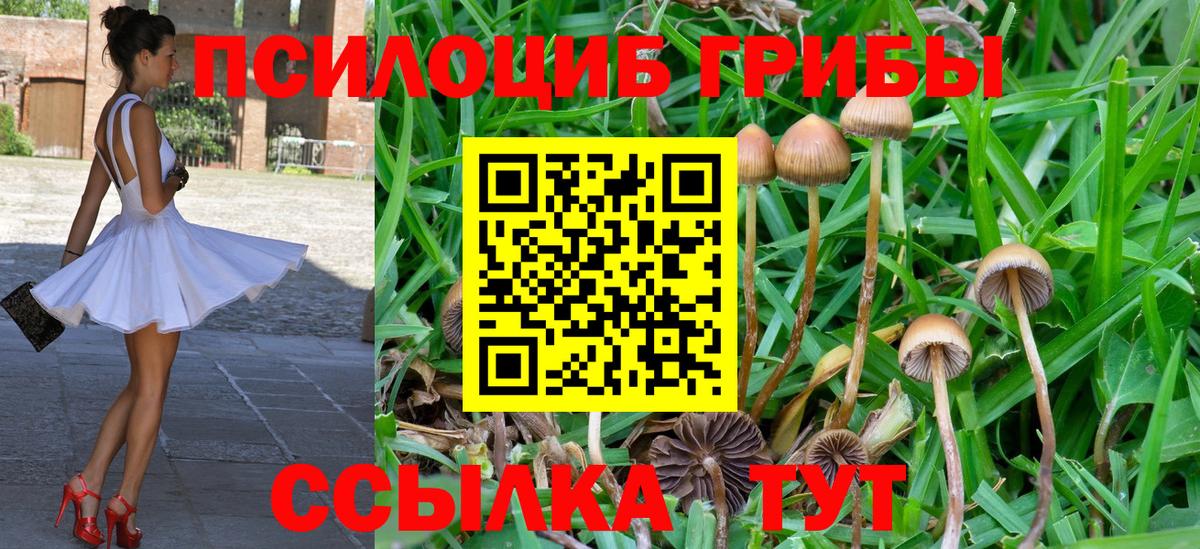 Комсомольск-на-Амуре  Галлюциногенные грибы прущие грибы  что такое наркотик  Вход с VPN 